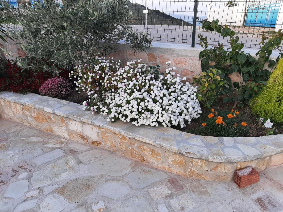 Villas Ermali Εξαμίλιο Εξωτερικό φωτογραφία